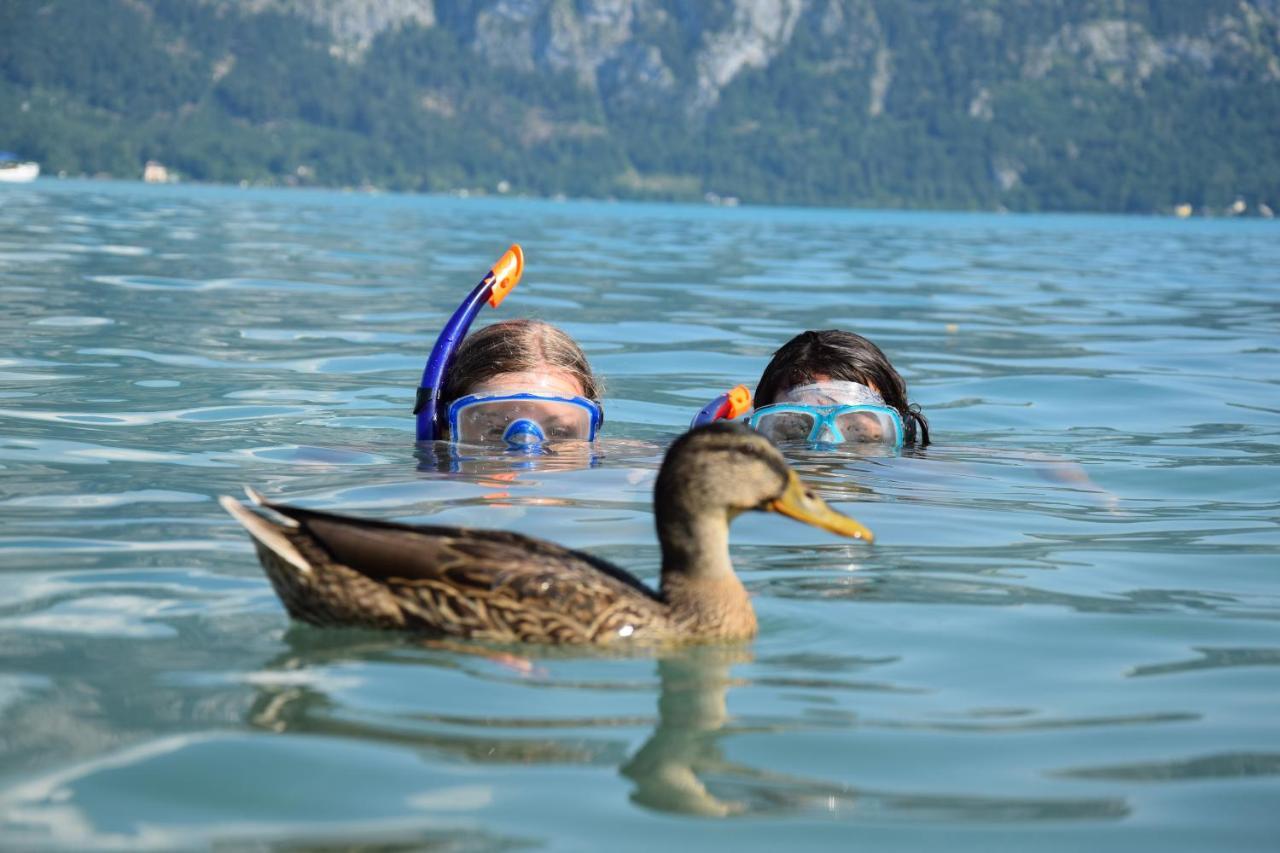 Apartment Loindl Unterach am Attersee Εξωτερικό φωτογραφία